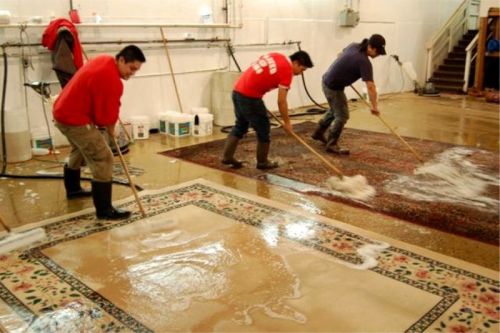 tappeti, persiani - irana, ,milano, cinisello balsamo 21