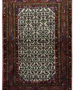 Tappeto Online 24 Tappeto Hamadan 160×105cm - 1172